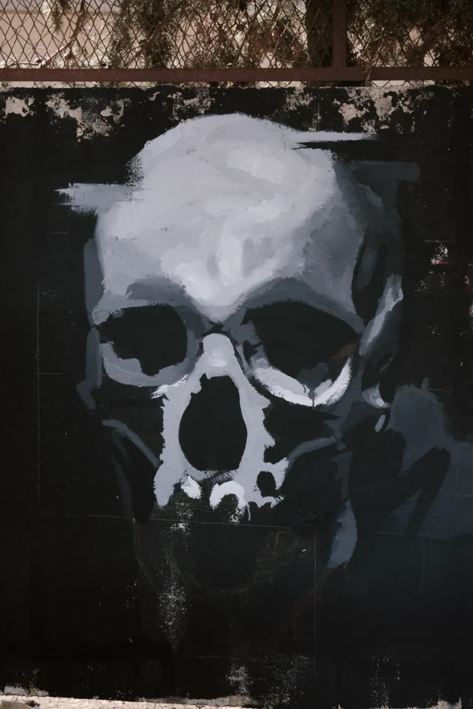 Close-up on a freshly painted, monochromatic black and white skull graphic spray-painted onto an urban wall.