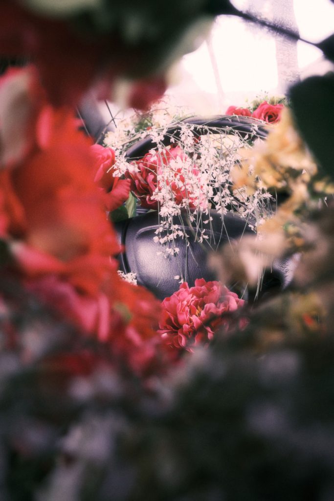 Intense close-up of red and white flowers obscuring the car interior detail