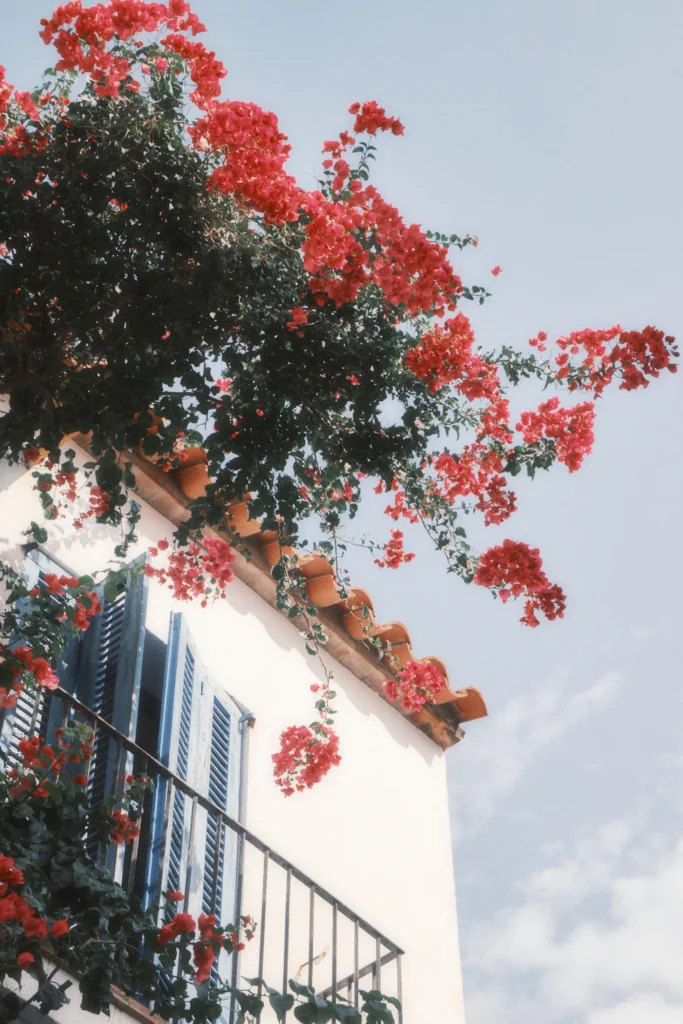 Bright Mediterranean architecture travel photo featuring a white building corner, blue shutters, and vibrant pink bougainvillea flowers, capturing a luxury lifestyle mood in Spain.